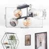 Ripoll ceiling light, globe light Amber, clear, Smoke-coloured, 6-light sources