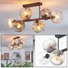 Ripoll ceiling light, globe light Amber, clear, Smoke-coloured, 6-light sources