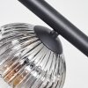 Ripoll ceiling light, globe light Amber, clear, Smoke-coloured, 6-light sources