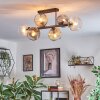 Ripoll ceiling light, globe light Amber, clear, Smoke-coloured, 6-light sources