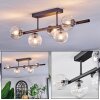 Chehalis ceiling light, globe light clear, 5-light sources