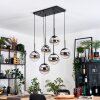 Gastor hanging light, globe light, pendant light black, 6-light sources