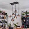 Gastor hanging light, globe light, pendant light black, 6-light sources