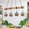 Ripoll hanging light, globe light, pendant light Ecru, black, 4-light sources