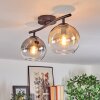 Koyoto ceiling light, globe light Amber, clear, Smoke-coloured, 2-light sources