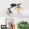 Koyoto ceiling light, globe light Amber, clear, Smoke-coloured, 2-light sources
