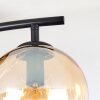 Koyoto ceiling light, globe light Amber, clear, Smoke-coloured, 2-light sources