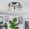 Ripoll ceiling light, globe light Amber, clear, Smoke-coloured, 3-light sources