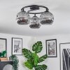 Ripoll ceiling light, globe light Smoke-coloured, 3-light sources