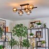 Gastor ceiling light, globe light Amber, clear, Smoke-coloured, 5-light sources