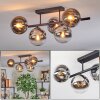 Gastor ceiling light, globe light chrome, clear, Smoke-coloured, 5-light sources