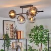 Gastor ceiling light, globe light chrome, clear, Smoke-coloured, 5-light sources