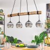 Ripoll hanging light, globe light, pendant light Ecru, black, 4-light sources
