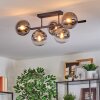 Gastor ceiling light, globe light clear, Smoke-coloured, 5-light sources