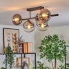 Gastor ceiling light, globe light clear, Smoke-coloured, 5-light sources