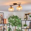 Koyoto ceiling light, globe light Amber, clear, 2-light sources