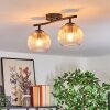 Koyoto ceiling light, globe light Amber, clear, 2-light sources