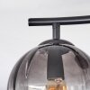 Koyoto ceiling light, globe light clear, Smoke-coloured, 2-light sources