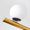 Chehalis ceiling light, globe light gold, black, 10-light sources