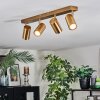 Javel ceiling light, ceiling spotlight gold, 4-light sources