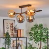 Gastor ceiling light, globe light Amber, Smoke-coloured, 5-light sources
