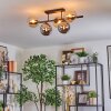 Gastor ceiling light, globe light Amber, Smoke-coloured, 5-light sources