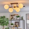 Gastor ceiling light, globe light white, 5-light sources