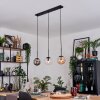 Gastor hanging light, globe light, pendant light Amber, clear, Smoke-coloured, 3-light sources