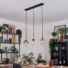 Gastor hanging light, globe light, pendant light Amber, clear, Smoke-coloured, 3-light sources