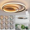 Trapani ceiling light LED gold, black, 1-light source, Remote control