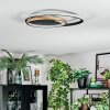 Trapani ceiling light LED gold, black, 1-light source, Remote control