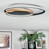 Trapani ceiling light LED gold, black, 1-light source, Remote control