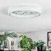 Rarel ceiling light LED silver, white, 1-light source