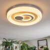 Rarel ceiling light LED silver, white, 1-light source