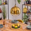 Koyoto hanging light, globe light, pendant light gold, 1-light source