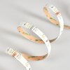 Rayen LED strips LED white, 1-light source, Colour changer