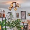 Ripoll ceiling light, globe light Amber, clear, Smoke-coloured, 6-light sources