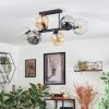 Ripoll ceiling light, globe light Amber, clear, Smoke-coloured, 6-light sources