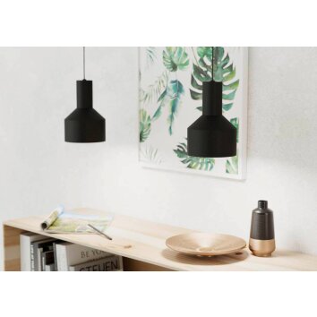 Eglo-Leuchten CASIBARE Pendant Light black, 1-light source