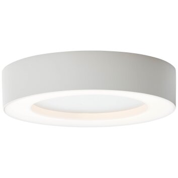 Brillliant Whittaker outdoor ceiling light LED white, 1-light source
