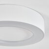 PALEROO outdoor ceiling light LED white, 1-light source