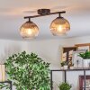 Koyoto ceiling light, globe light clear, Smoke-coloured, 2-light sources