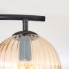 Koyoto ceiling light, globe light Amber, clear, Smoke-coloured, 2-light sources