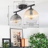 Koyoto ceiling light, globe light Amber, clear, Smoke-coloured, 2-light sources