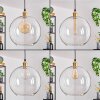 Koyoto hanging light, globe light, pendant light gold, 1-light source