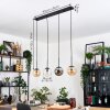 Gastor hanging light, globe light, pendant light Amber, clear, Smoke-coloured, 4-light sources
