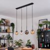 Gastor hanging light, globe light, pendant light Amber, clear, Smoke-coloured, 4-light sources