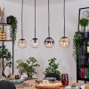 Gastor hanging light, globe light, pendant light Amber, clear, Smoke-coloured, 4-light sources