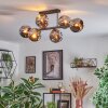 Ripoll ceiling light, globe light chrome, Smoke-coloured, 6-light sources