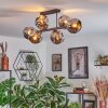 Ripoll ceiling light, globe light chrome, Smoke-coloured, 6-light sources